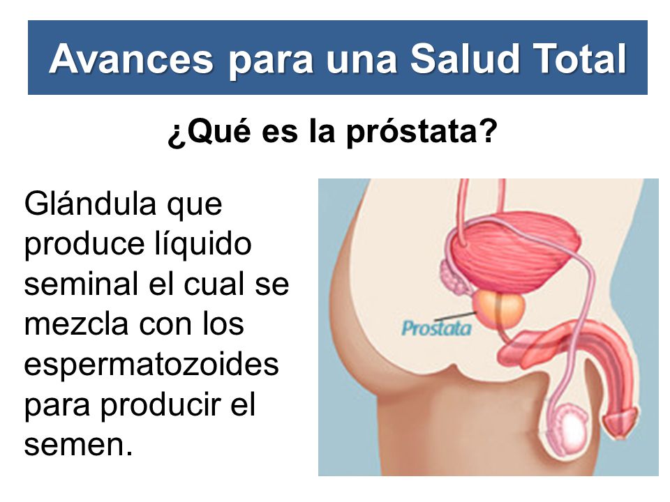 fluido seminal como el agua de la próstata fluido seminal como el agua de la próstata